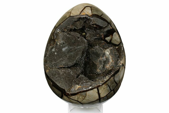Septarian Dragon Egg Geode - Black Crystals #177424